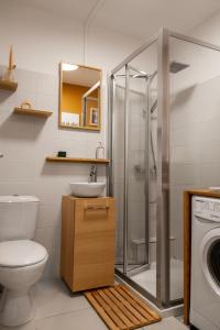 ein Badezimmer mit einem WC, einem Waschbecken und einer Waschmaschine in der Unterkunft Studio lumineux à 2 mn à pied de la plage in Cannes