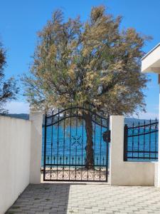 un árbol detrás de una puerta con el océano detrás en Apartments Bralic en Bibinje