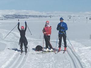 un groupe de trois personnes à skis dans la neige dans l'établissement Golsfjellet - new modern cabin with fantastic view, à Golsfjellet