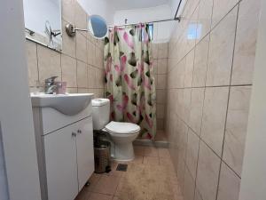 a bathroom with a toilet and a shower curtain at Nonas House in Kanoni +10 photos