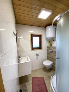 łazienka z toaletą i umywalką w obiekcie Bieszczadzkie domki w mieście Bukowiec
