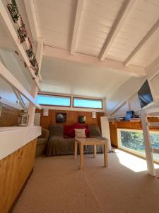 TV a/nebo společenská místnost v ubytování Chalet des Myrtilles - chalet cosy avec vue