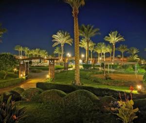 a park with palm trees at night at Las Cabanas Apartment in Marsa Alam City