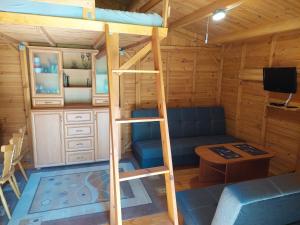 Televízia a/alebo spoločenská miestnosť v ubytovaní Apartament 59 , ranczoturystyka Bielawa Sudety