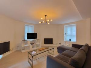 Bijou White Hart Lane في لندن: غرفة معيشة مع أريكة وتلفزيون