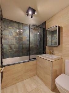 Bijou White Hart Lane في لندن: حمام مع مرحاض ومغسلة ودش