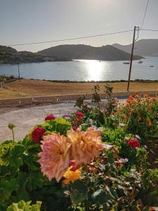 a garden of flowers with a view of the water at Aggeliki's Apartments in Lipsoi