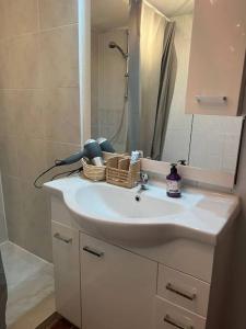 a bathroom sink with a shower and a mirror at Apartment with garden in Krems an der Donau