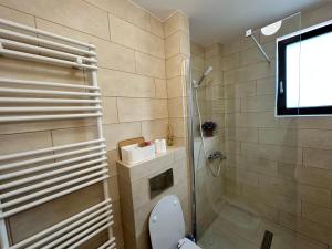 a bathroom with a shower and a toilet and a sink at AMADEUS IASI in Iaşi +37 photos
