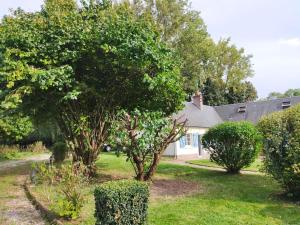 a yard with two trees in front of a house at Longère 10 personnes in Vauchelles-lès-Quesnoy