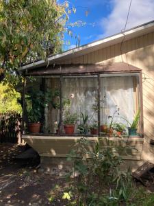 a house with potted plants in a window at Cabaña independiente in Coihaique