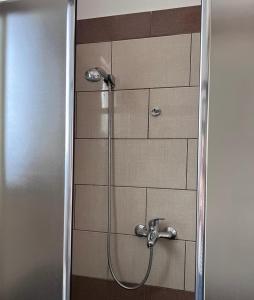 La salle de bains est pourvue d'une douche et d'une porte en verre. dans l'établissement Nick Apartments, à Gjirokastër
