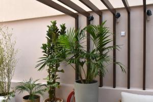 Fotografie z fotogalerie ubytování Casa Enetiko ve městě Chania