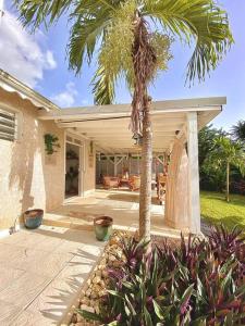 a porch of a house with a palm tree at Logement Le Pélican Sous le Vent in Sainte-Rose