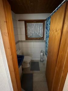 a small bathroom with a toilet and a window at Zauberhaftes Chalet mit Whirlpool, Berg & Seesicht in Brienz