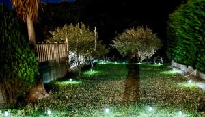 A garden outside Alba Serena
