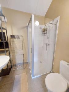 ein Bad mit einer Dusche und einem WC in der Unterkunft 2 bedrooms chalet with wifi at Somme Leuze in Somme-Leuze