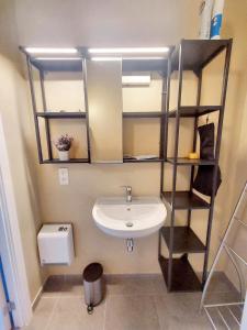ein Badezimmer mit einem Waschbecken und einem Regal mit einem Spiegel in der Unterkunft 2 bedrooms chalet with wifi at Somme Leuze in Somme-Leuze