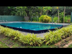 una piscina vacía en un patio con plantas en Hotel Tree Garden Wilpaththu Nochchiyagma Anuradhapura, en Nochchiyagama