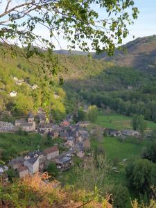 ein kleines Dorf auf einem Hügel mit Bäumen und Häusern in der Unterkunft AUX GORGES DU DOURDOU in Conques-en-Rouergue