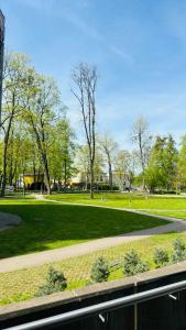 een park met een grasveld en bomen bij Moon apartment in Druskininkai