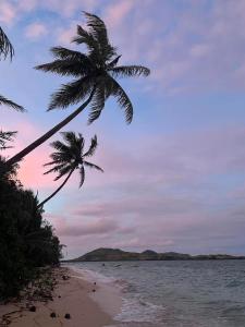 dos palmeras en una playa con el océano en Voyager Retreat Homestay, en Nanuya Lailai