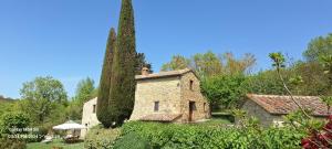 een oud stenen gebouw met een grote boom bij Borgo Fastelli in Sarteano