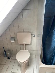 a bathroom with a white toilet and a blue shower curtain at Ferienwohnung Hagweg in Untermünkheim