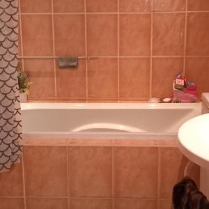 een badkamer met een bad en bruine tegels bij Maison Bohème 
