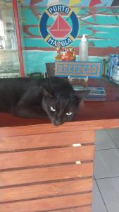 un gato negro sobre un mostrador en Pousada Porto Marola, en Porto de Galinhas