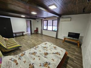 Großes Zimmer mit einem Bett und einem TV. in der Unterkunft sunny day in Krushuna