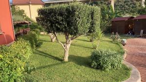 Сад в Villa maglio