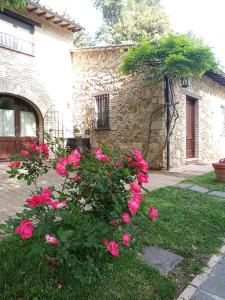 un jardín con rosas rosas frente a un edificio en All'Ombra di San Damiano en Asís