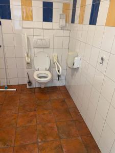a bathroom with a toilet and a urinal and a toilet at The blue lady in Sleen