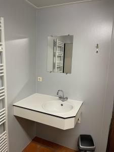 a white bathroom with a sink and a mirror at The blue lady in Sleen