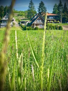 un campo de hierba verde alta con casas en el fondo en Domki całoroczne DOMKOWSTWO, en Bóbrka