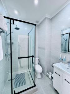 a bathroom with a glass shower and a toilet at Hotel Bereket Karaganda in Karagandy