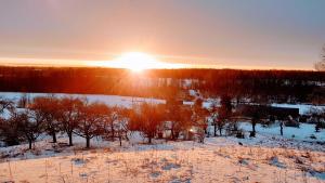 una puesta de sol invernal en un campo nevado con árboles en Nidra, en Aizkraukle