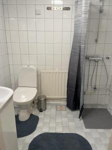 ein Bad mit einem WC, einem Waschbecken und einer Dusche in der Unterkunft Tilava kaksio kerrostalossa in Haapajärvi