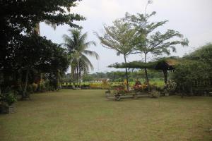 um jardim com um guarda-sol e algumas palmeiras em LANDBOW GREEN VILLAGE Homestay Trekking & Village Tour em Bukit Lawang