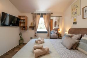 TV a/nebo společenská místnost v ubytování Casa Vigo Pula