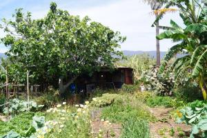 La casita del jardinero في لوس يانوس دي أريداني: حديقة بها منزل صغير في الخلفية
