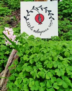 ein Schild in einem Garten mit grünen Pflanzen in der Unterkunft la melagrana rossa in Quattro Castella