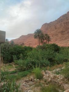 vistas a un desierto con palmeras y montañas en Riad dar Ahlam, en Aït Baha