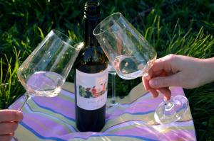 Fotografie z fotogalerie ubytování Zarova Apartment with wine tasting experience v destinaci Kojsko