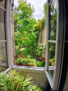 an open window with potted plants in a garden at Appart Rez de jardin in Dijon