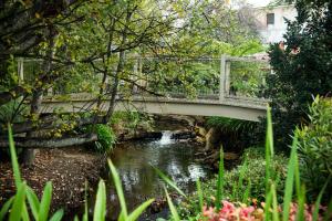 a bridge over a river with a waterfall at Adelaide Hills Camellia Cottage Wifi in Crafers