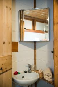 uma casa de banho com um lavatório e um espelho em Adelaide Hills Camellia Cottage Wifi em Crafers