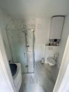La salle de bains est pourvue d'une douche en verre et de toilettes. dans l'établissement Tiny House DALIA Jardin & forêt 10 min de la gare, à Dammarie-les-Lys
