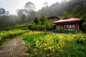 拉瓦格拉Mt.Narsing Village Resort的一座花园,在房子前面有黄色的花朵